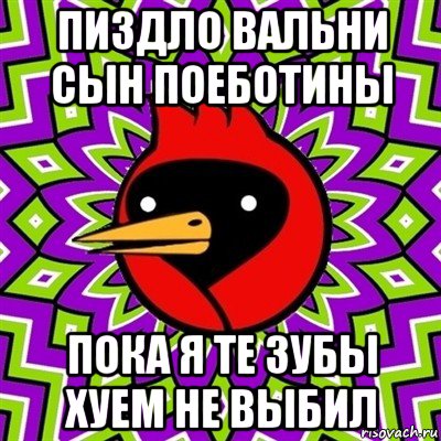 пиздло вальни сын поеботины пока я те зубы хуем не выбил, Мем Омская птица