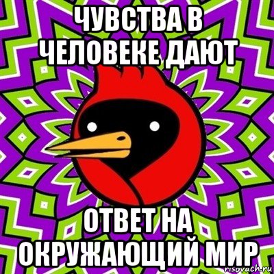 чувства в человеке дают ответ на окружающий мир, Мем Омская птица