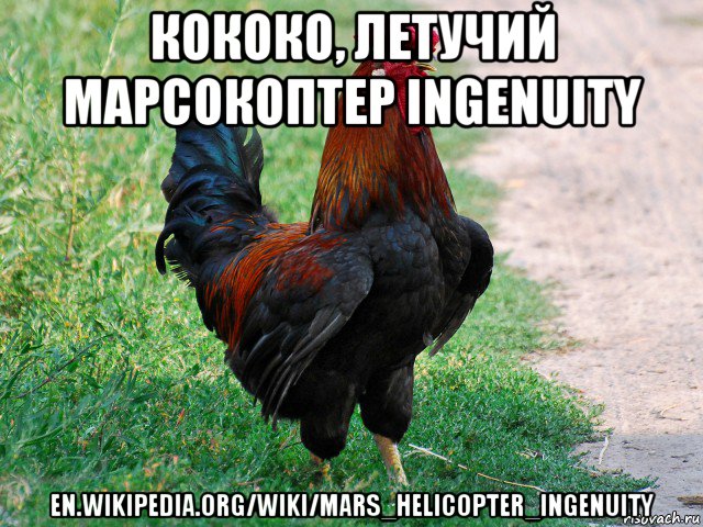 кококо, летучий марсокоптер ingenuity en.wikipedia.org/wiki/mars_helicopter_ingenuity