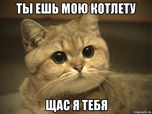 ты ешь мою котлету щас я тебя