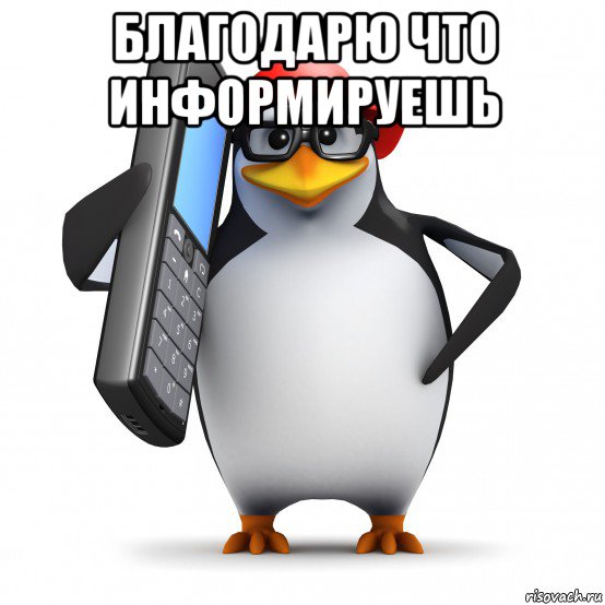 благодарю что информируешь , Мем   Пингвин звонит