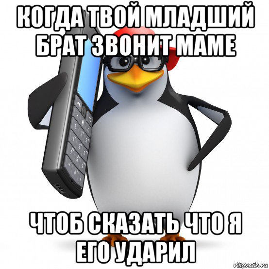 когда твой младший брат звонит маме чтоб сказать что я его ударил, Мем   Пингвин звонит