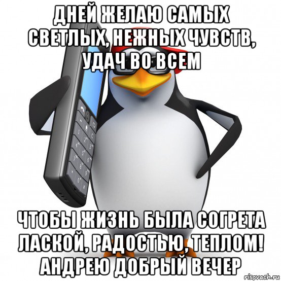 дней желаю самых светлых, нежных чувств, удач во всем чтобы жизнь была согрета лаской, радостью, теплом! андрею добрый вечер, Мем   Пингвин звонит