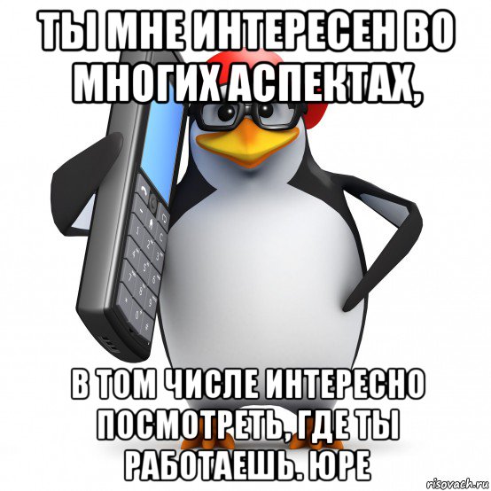 ты мне интересен во многих аспектах, в том числе интересно посмотреть, где ты работаешь. юре, Мем   Пингвин звонит