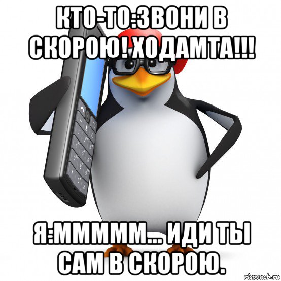 кто-то:звони в скорою! ходамта!!! я:ммммм... иди ты сам в скорою., Мем   Пингвин звонит