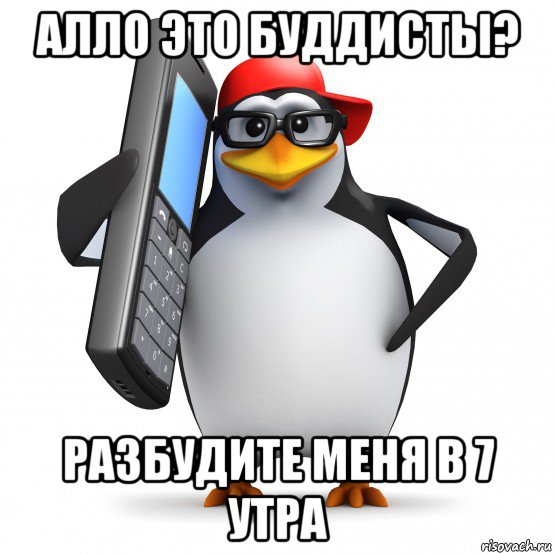 алло это буддисты? разбудите меня в 7 утра, Мем   Пингвин звонит