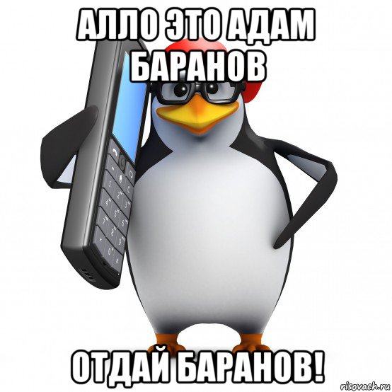 алло это адам баранов отдай баранов!, Мем   Пингвин звонит