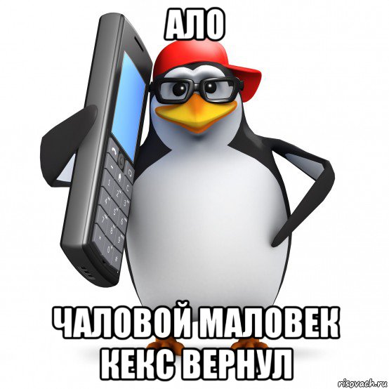 ало чаловой маловек кекс вернул, Мем   Пингвин звонит