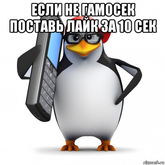 если не гамосек поставь лайк за 10 сек , Мем   Пингвин звонит