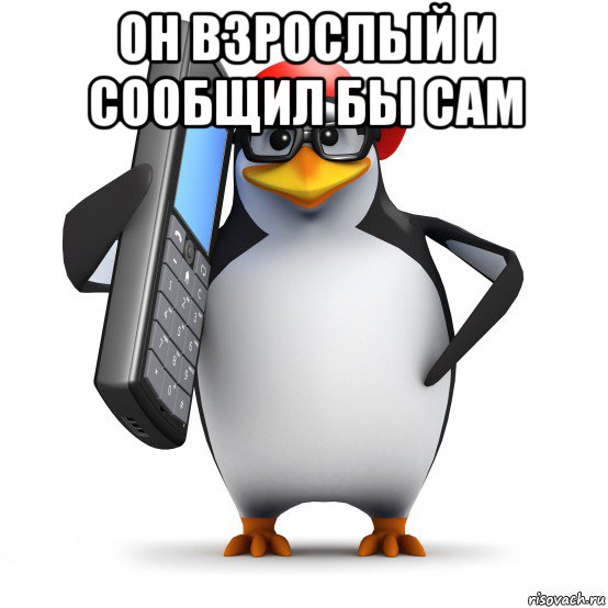 он взрослый и сообщил бы сам , Мем   Пингвин звонит