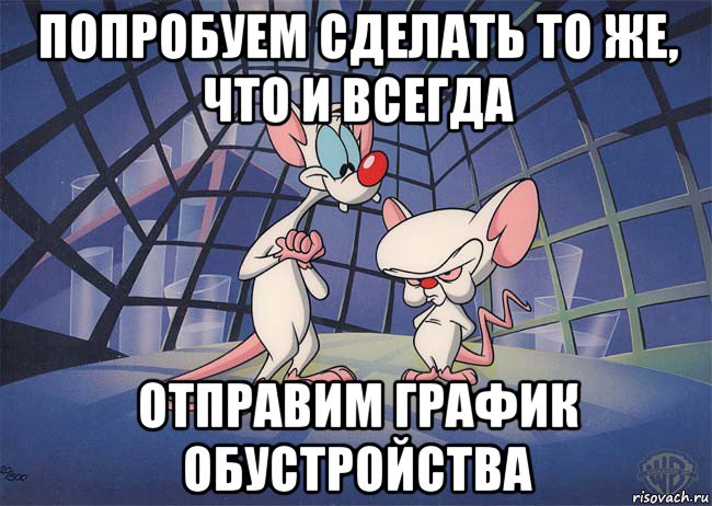 попробуем сделать то же, что и всегда отправим график обустройства, Мем ПИНКИ И БРЕЙН