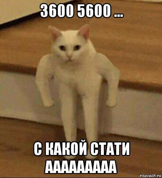 3600 5600 ... с какой стати ааааааааа