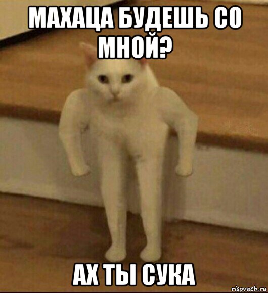 махаца будешь со мной? ах ты сука, Мем  Полукот