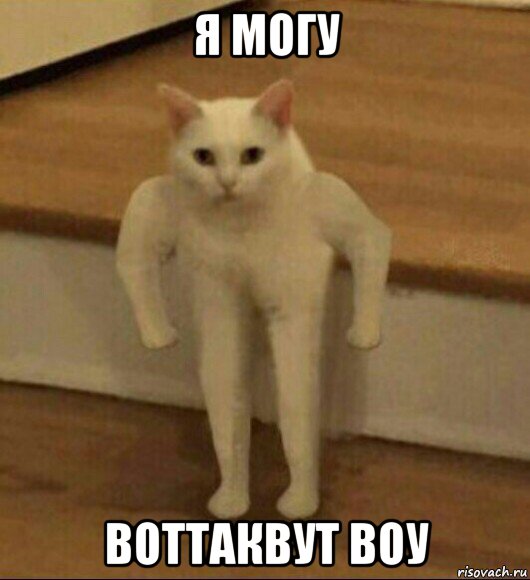 я могу воттаквут воу