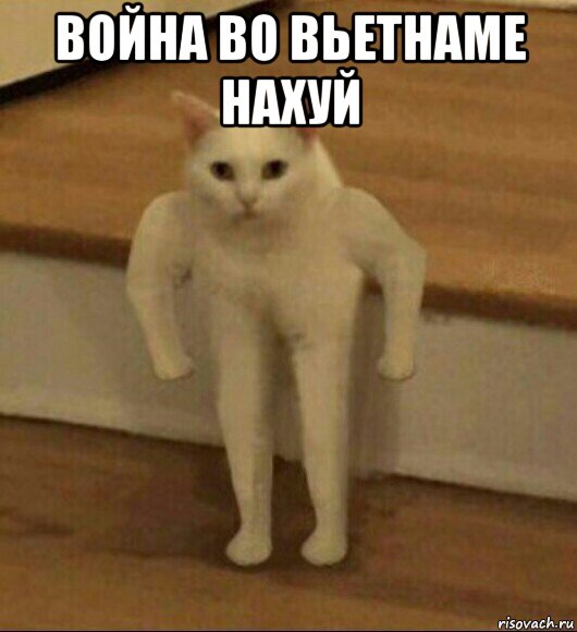 война во вьетнаме нахуй 