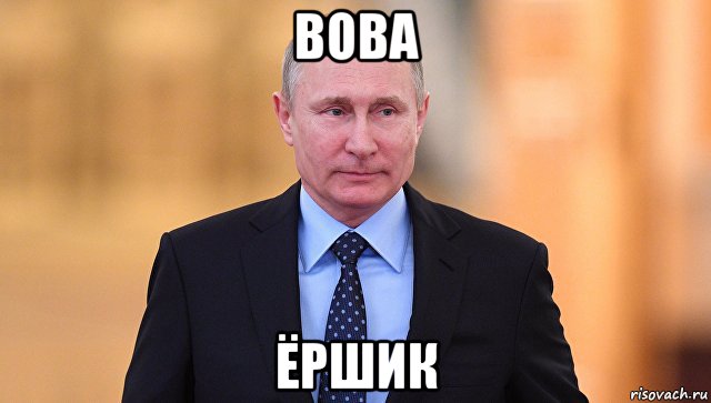 вова ёршик