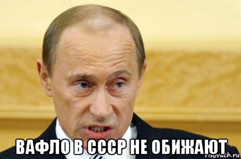  вафло в ссср не обижают, Мем путин