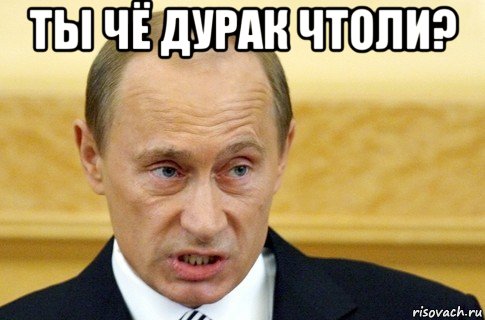 ты чё дурак чтоли? , Мем путин