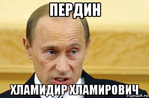 пердин хламидир хламирович, Мем путин