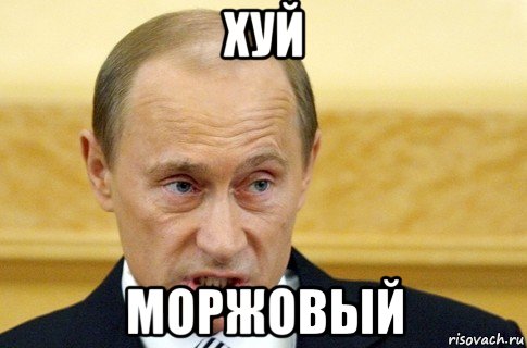 хуй моржовый, Мем путин