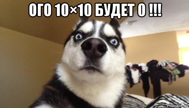 ого 10×10 будет 0 !!! , Мем  Собака-удивляка