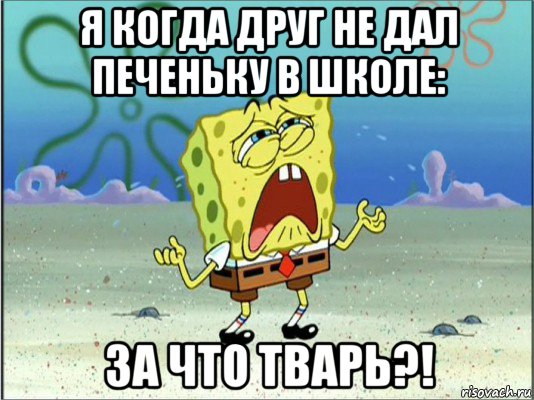 я когда друг не дал печеньку в школе: за что тварь?!, Мем Спанч Боб плачет