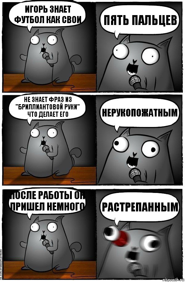 Игорь знает футбол как свои пять пальцев не знает фраз из "бриллиантовой руки" что делает его нерукопожатным После работы он пришел немного РАСТРЕПАННЫМ, Комикс  Стендап-кот