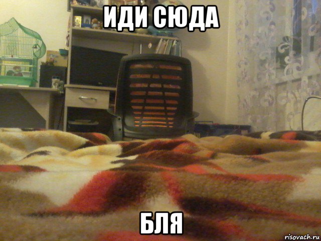 иди сюда бля