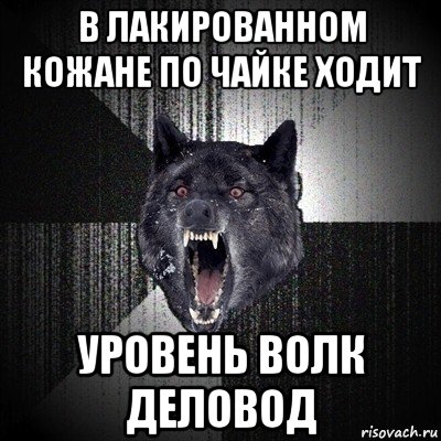 в лакированном кожане по чайке ходит уровень волк деловод, Мем Сумасшедший волк