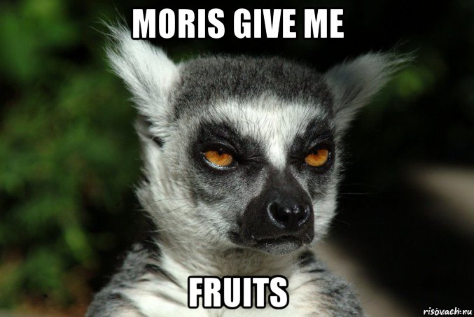 moris give me fruits, Мем   Я збагоен