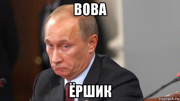 вова ёршик, Мем ВоВа Путин