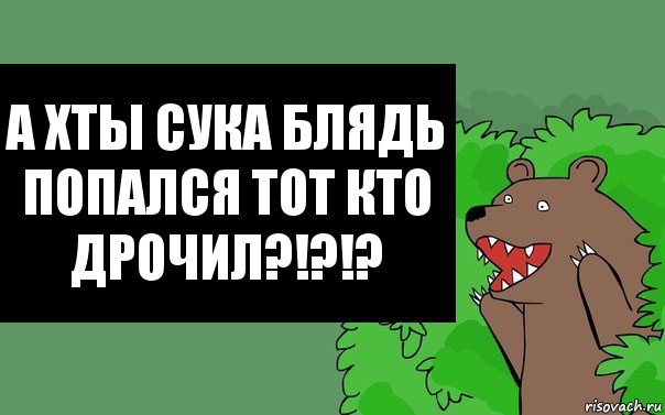 А хты сука блядь попался тот кто дрочил?!?!?, Комикс Надпись медведя из кустов