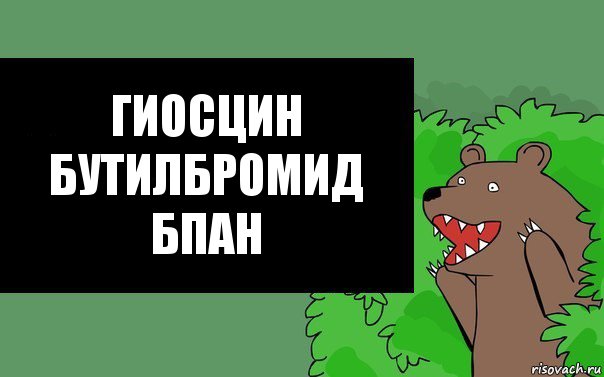Гиосцин бутилбромид
БПАН, Комикс Надпись медведя из кустов