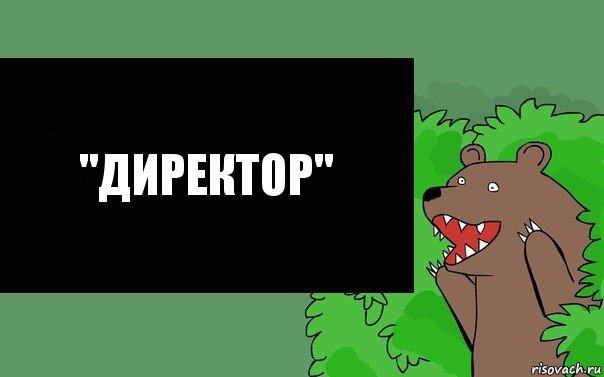 "Директор", Комикс Надпись медведя из кустов