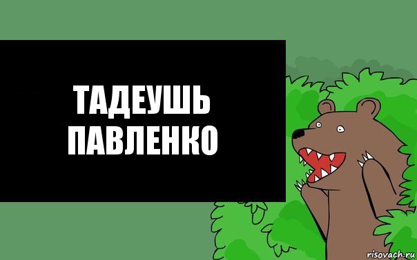 Тадеушь Павленко, Комикс Надпись медведя из кустов