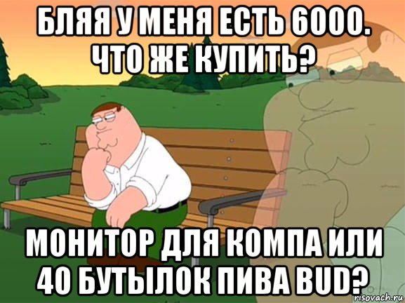 бляя у меня есть 6000. что же купить? монитор для компа или 40 бутылок пива bud?, Мем Задумчивый Гриффин