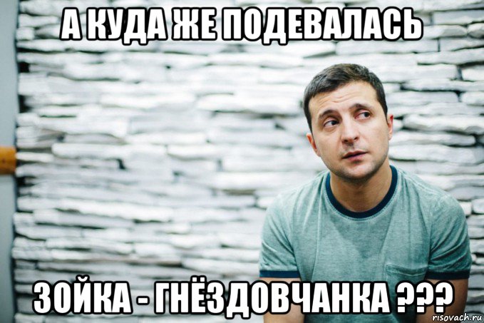 а куда же подевалась зойка - гнёздовчанка ???, Мем Зеленский