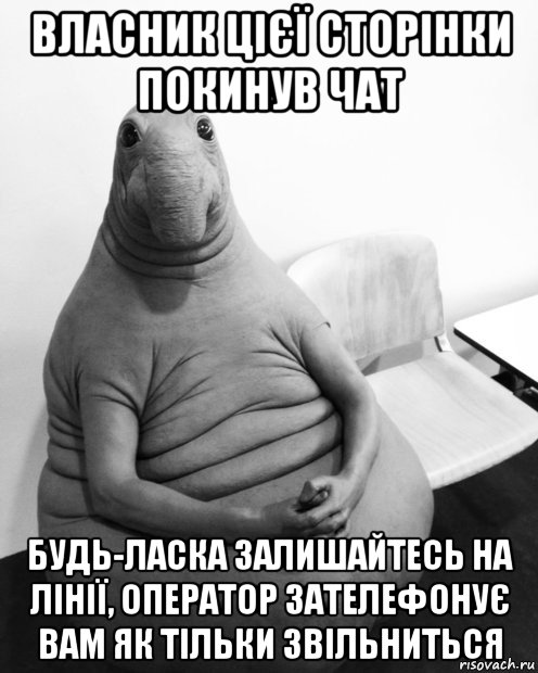 власник цієї сторінки покинув чат будь-ласка залишайтесь на лінії, оператор зателефонує вам як тільки звільниться, Мем  Ждун