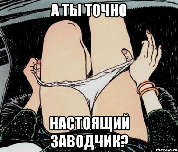 а ты точно настоящий заводчик?