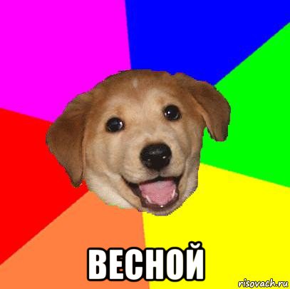  весной, Мем Advice Dog