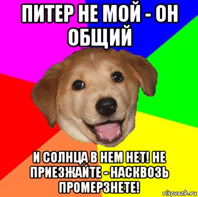 питер не мой - он общий и солнца в нем нет! не приезжайте - насквозь промерзнете!, Мем Advice Dog