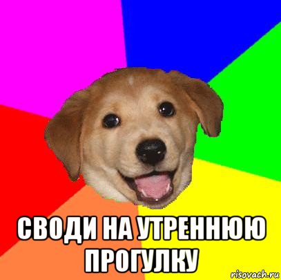  своди на утреннюю прогулку, Мем Advice Dog