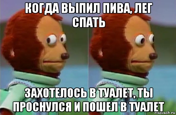 когда выпил пива, лег спать захотелось в туалет, ты проснулся и пошел в туалет, Мем Ашан2