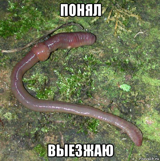 понял выезжаю