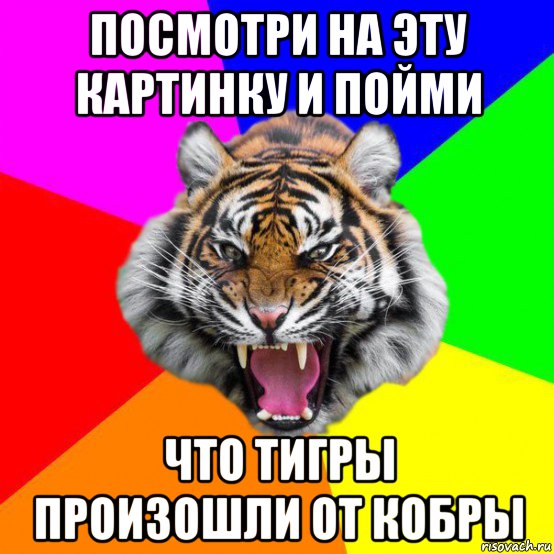 посмотри на эту картинку и пойми что тигры произошли от кобры, Мем  ДЕРЗКИЙ ТИГР