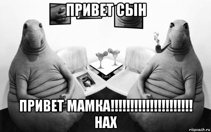 привет сын привет мамка!!!!!!!!!!!!!!!!!!!!! нах, Мем  Два ждуна