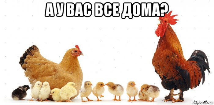 а у вас все дома? , Мем Это нормально