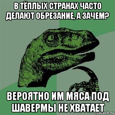 в тёплых странах часто делают обрезание, а зачем? вероятно им мяса под шавермы не хватает, Мем Филосораптор