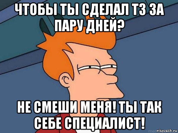 чтобы ты сделал тз за пару дней? не смеши меня! ты так себе специалист!, Мем  Фрай (мне кажется или)