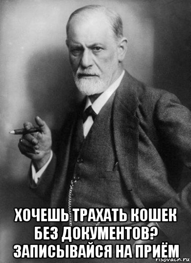  хочешь трахать кошек без документов? записывайся на приём, Мем    Фрейд